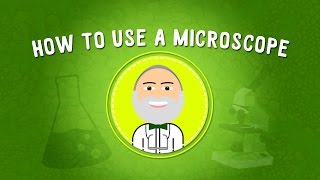 How to Use a Microscope  STEM [upl. by Areit314]