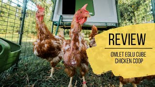 Omlet Eglu Cube Chicken Coop Review [upl. by Valma]