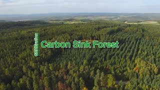 GENEration 03 – Carbon Sink Forest [upl. by Tada]