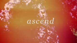 Ascend Official Lyric Video  William Matthews  Tides [upl. by Sarene621]