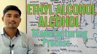 Ethyl alcohol  Ethanol  Alcohol manufacturing process  Chemical Pedia [upl. by Maccarone432]