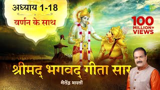 श्रीमद भगवद गीता सार  संपूर्ण गीता  Bhagawad Geeta All Chapters With Narration Shailendra Bharti [upl. by Adiasteb]