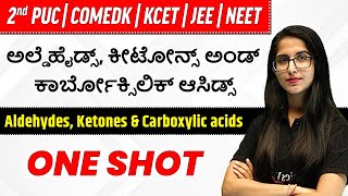 Aldehydes Ketones amp Carboxylic Acids in ಕನ್ನಡ  Full Chapter in One Video  2nd PUCKCETNEETJEE [upl. by Nerej]