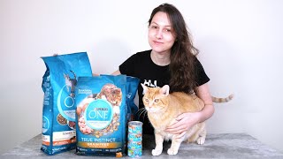 Purina ONE Cat Food Review We Tried It [upl. by Lindner]