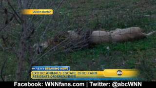 Exotic Animals On the Loose in Ohio Police Shoot to Kill [upl. by Anirbus361]