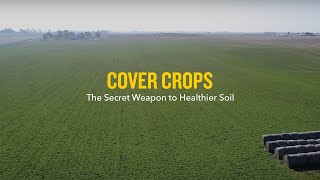 Cover Crops The Secret Weapon to Healthier Soil [upl. by Rask]