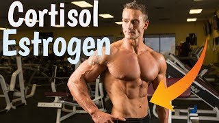 Estrogen and Cortisol 2 Hormones That Affect Belly Fat Thomas DeLauer [upl. by Arvo]