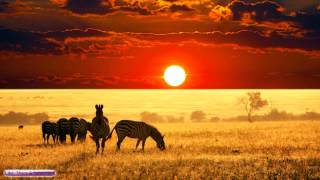 African Music  African Savannah  Relax Study amp Ambience [upl. by Schroder942]