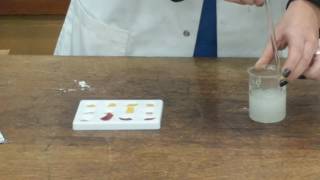 GCSE Core Practical Chemistry  Changing pH [upl. by Dnaltroc]