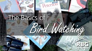 Bird Watching for Beginners [upl. by Leumhs]