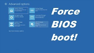 HOW TO Force booting into BIOS [upl. by Belford533]