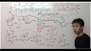 Hydroboration Oxidation Mechanism Made Easy  Part 2   Organic Chemistry [upl. by Ecirtram]