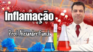 INFLAMAÇÃO  PROF ALEXANDRE FUNCK [upl. by Nissensohn377]