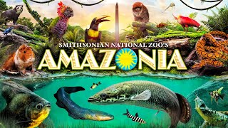 Zoo Tours Amazonia  Smithsonian National Zoo [upl. by Arte]