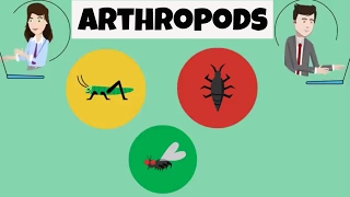 Characteristics of Arthropods [upl. by Slotnick]