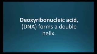 How to pronounce deoxyribonucleic acid DNA Pharmcabulary for Memorizing Pharmacology Flashcard [upl. by Xilef]