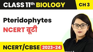 Pteridophytes  NCERT बूटी  Plant Kingdom  Class 11 Biology Chapter 3  NCERTCBSE [upl. by Wearing]