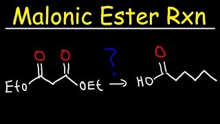 Malonic Ester Synthesis Reaction Mechanism [upl. by Iknarf719]