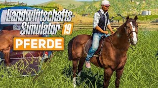 LS19 PFERDE  Pflege reiten und mehr  Farming Simulator 2019 Spotlight [upl. by Weil]