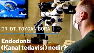 Endodonti Kanal Tedavisi nedir [upl. by Terrence511]