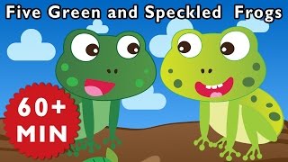 Five Green and Speckled Frogs and More  Nursery Rhymes from Mother Goose Club [upl. by Hertz547]