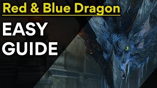 Demons Souls Red amp Blue Dragon Easy Boss Guide [upl. by Onairotciv359]