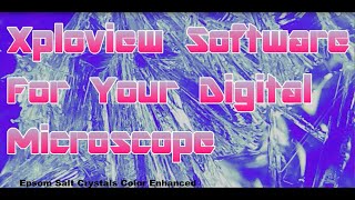 Xploview Software for your Digital Microscope [upl. by Ayhdiv]