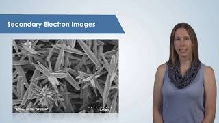 Introduction to the Scanning Electron Microscope SEM [upl. by Campbell]