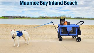 Maumee Bay Inland Beach [upl. by Yoreel746]