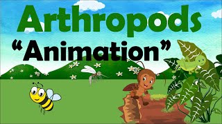 ARTHROPODS  Biology Animation [upl. by Aicilaanna]