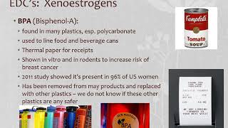 HSB Lecture 4d Xenoestrogens [upl. by Fanchet513]