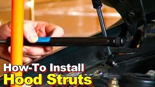 How To Install Hood Struts [upl. by Sachsse]