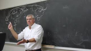 Philosophy in One Lecture [upl. by Raimes632]