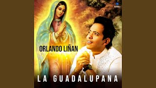 La Guadalupana [upl. by Eruza]