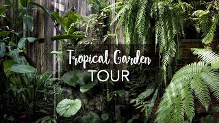 Tropical Garden Tour with Exotic Tropical Plants with plant names [upl. by Nwahsram]