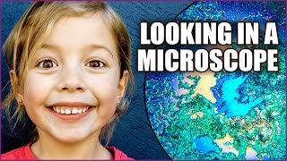 Microscope For Kids  Fun with Science [upl. by Nonnel]