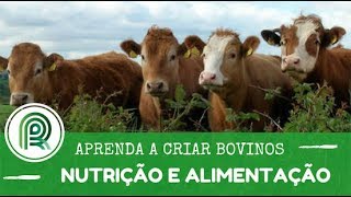 Aprenda a criar bovinos  Aula 5 nutrição e alimentação [upl. by Kiersten]