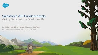 Salesforce API Fundamentals [upl. by Lucier]