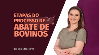 PROCESSO DE ABATE DE BOVINOS [upl. by Karissa]