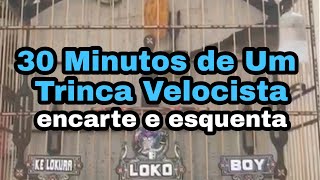 Será que seu Trinca Ferro aguenta 30 minutos desse Trinca Ferro Velocista de torneio [upl. by Magnus709]