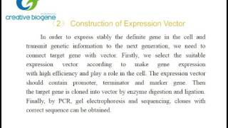 Gene overexpression protocol Creative Biogene [upl. by Polish]