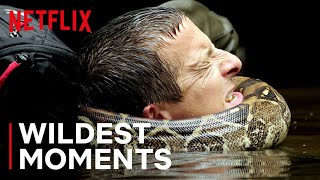 Bear’s WILDest Moments 🤯 Animals on the Loose A You vs Wild Movie  Netflix After School [upl. by Converse537]