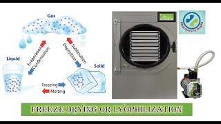 Freeze drying or Lyophilization in depth [upl. by Oluas]