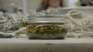 The Making of Traditional Plant Medicine  Tending Nature  KCET [upl. by Dlareme]