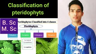 Classification of pteridophyts [upl. by Assirak]