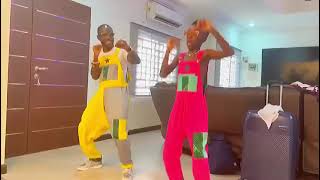 Sir Bota teaches Okyeame Kwame how to Dance to Yeeko [upl. by Sothena]