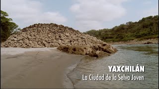 Yaxchilán la ciudad de la Selva Joven PIEDRAS QUE HABLAN [upl. by Nylevol]