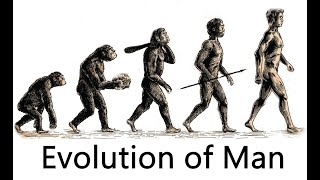 The Evolution of Man 7 million years ago  50000 years ago [upl. by Nnylatsyrk155]