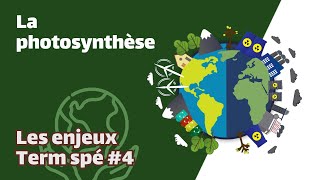 La photosynthèse  SVT  ENJEUX Term spé 4  Mathrix [upl. by Abeu]