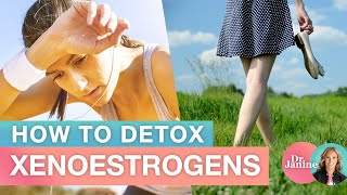 How to Detox Xenoestrogens  Dr J9 Live [upl. by Yatnoj]